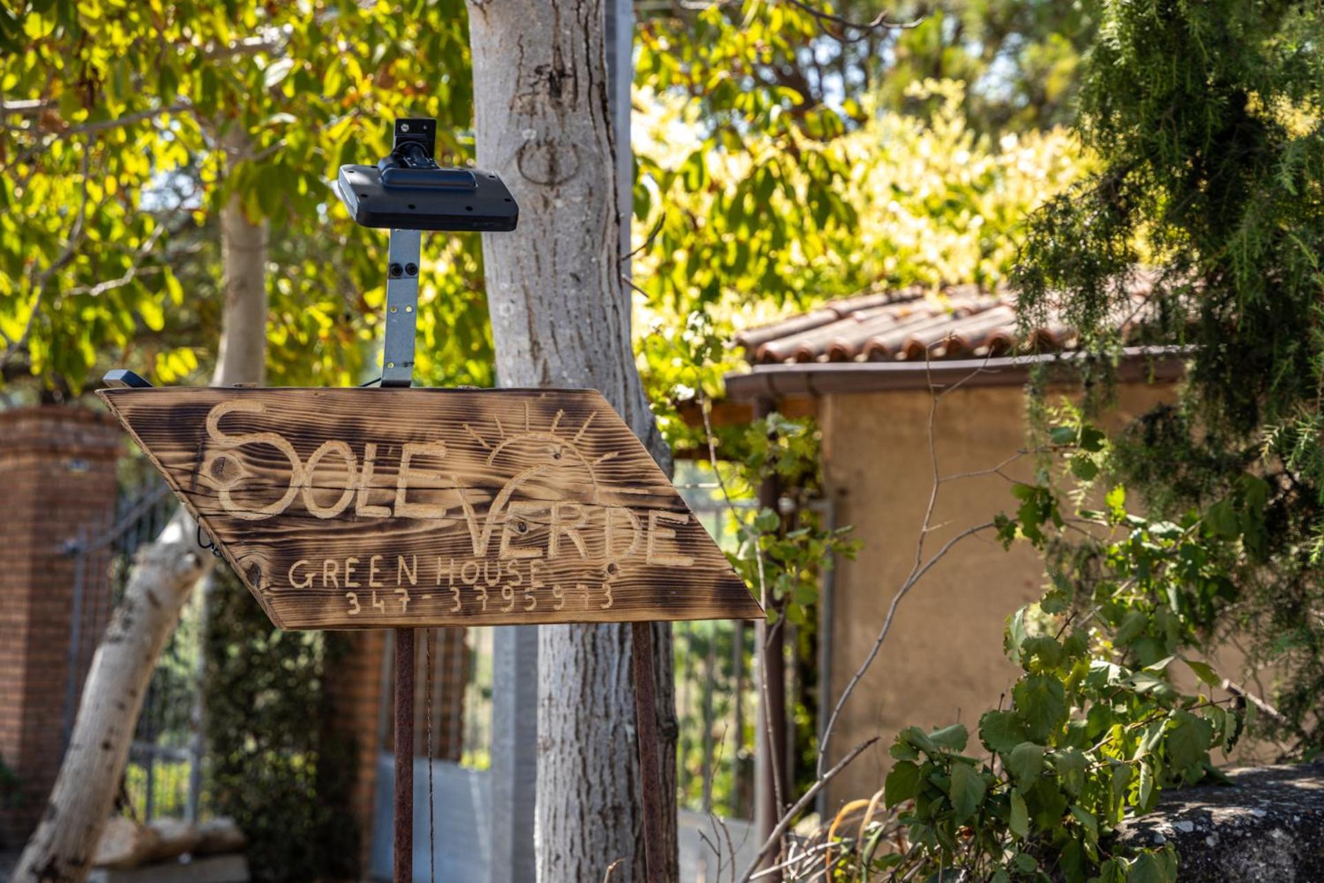 Sole Verde Green House Terricciola Exterior foto